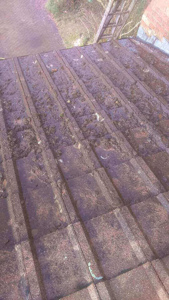Roof Cleaning Milton Keynes, Buckinghamshire